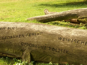 Sinnsprüche der Kaiserring-Trägerin Jenny Holzer zieren alte Stämme Auf einem gefällten Baumstamm stehen Sinnsprüche von Jenny Holzer, eingraviert in die Rinde.