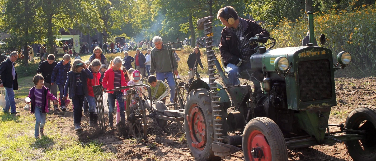 kartoffeln-ernten-am-erntedankfest-c-museumsdorf-hoesseringen.jpg