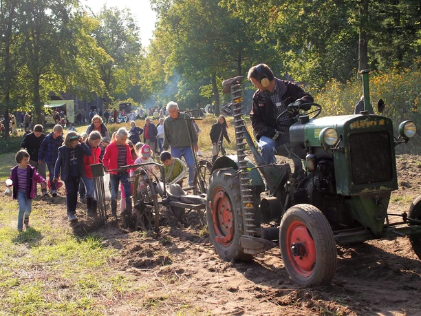 kartoffeln-ernten-am-erntedankfest-c-museumsdorf-hoesseringen.jpg