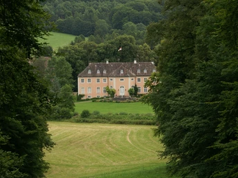 Zum Schloss Rheder besteht eine schöne Sichtbeziehung Blick durch dichte Baumreihen auf ein historisches Schloss, umgeben von grünen Wiesen und Wäldern.