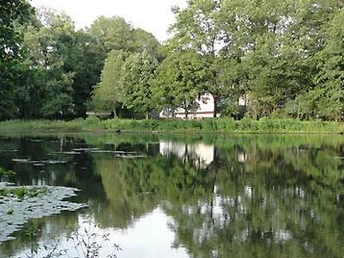 Schöne Stimmung am Mühlenteich