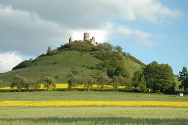Warburg Desenberg Die Ruine Desenberg thront auf einem grünen Hügel, umgeben von blühenden Rapsfeldern und Bäumen.
