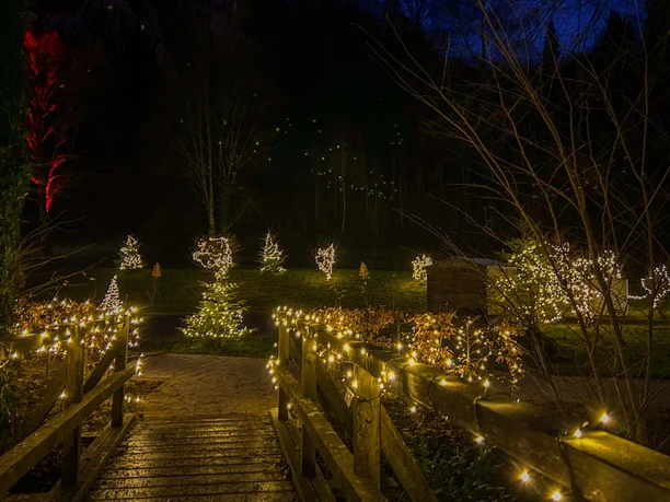 Beleuchtung in der Adventszeit im Kurpark
