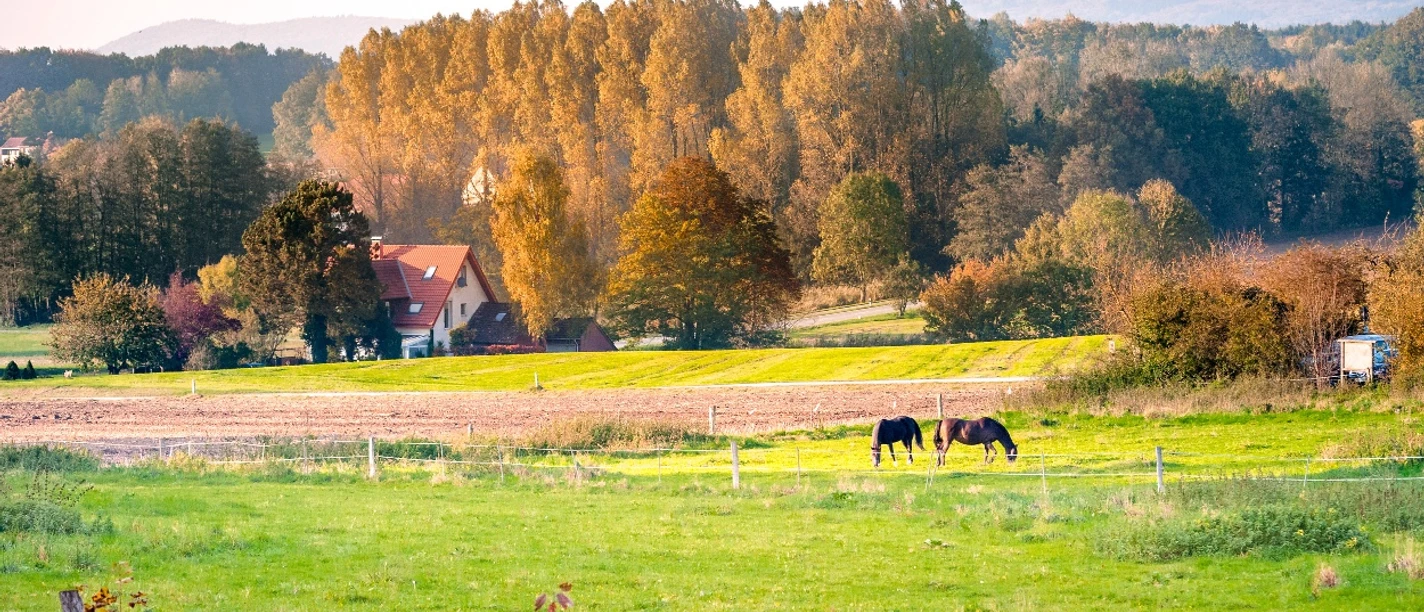 Malerische Landschaft bei Borgholzhausen Eine idyllische Landschaft mit zwei Pferden auf einer grünen Weide, im Hintergrund bunte Herbstbäume.
