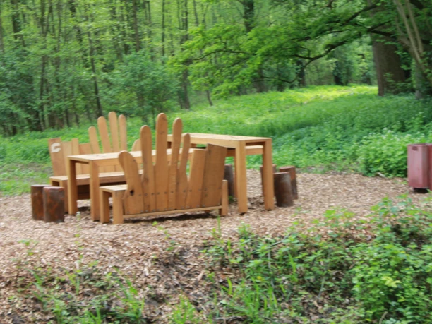 Rastplatz "Fühlen" Holztisch und Stühle im Freien, umgeben von üppigem Grün und Bäumen auf Waldboden.