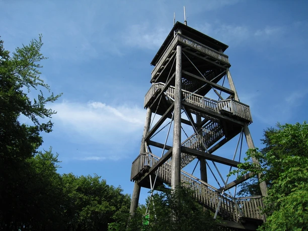 Holzturm inmitten von Bäumen, der sich mit mehreren Etagen gegen einen klaren blauen Himmel erhebt.