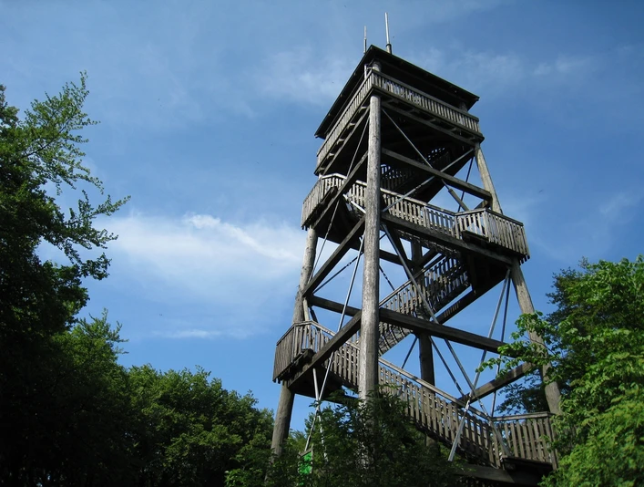 Holzturm inmitten von Bäumen, der sich mit mehreren Etagen gegen einen klaren blauen Himmel erhebt.