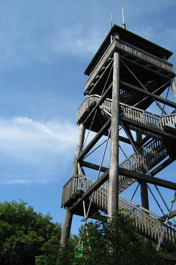 Luisenturm Holzturm inmitten von Bäumen, der sich mit mehreren Etagen gegen einen klaren blauen Himmel erhebt.
