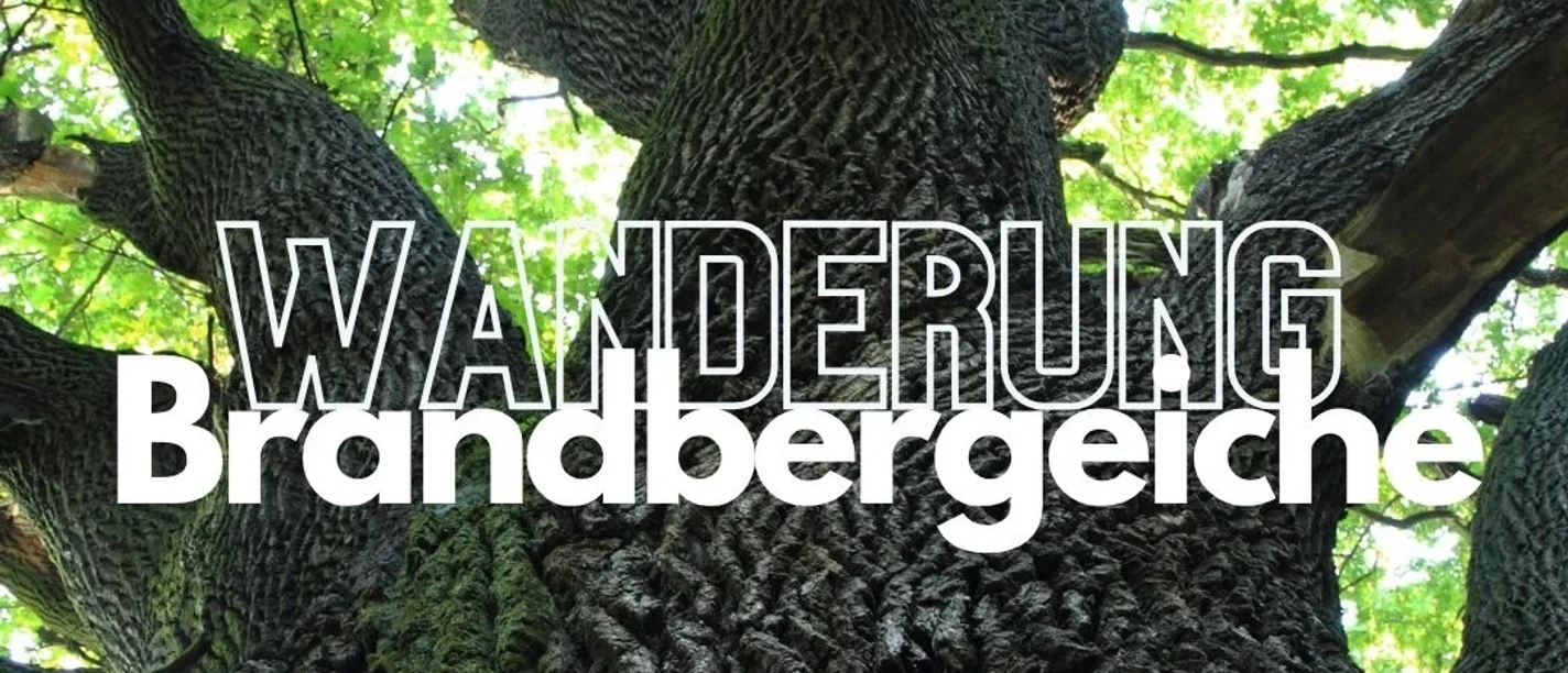 Wanderung_Brandbergeiche