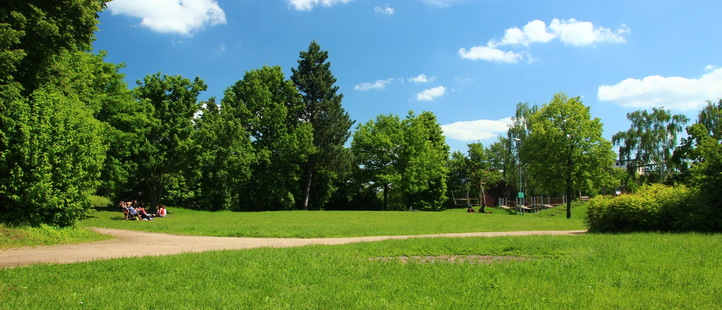 Weite grüne Wiese im Hessentagspark mit Bäumen, Spazierweg und blauem Himmel