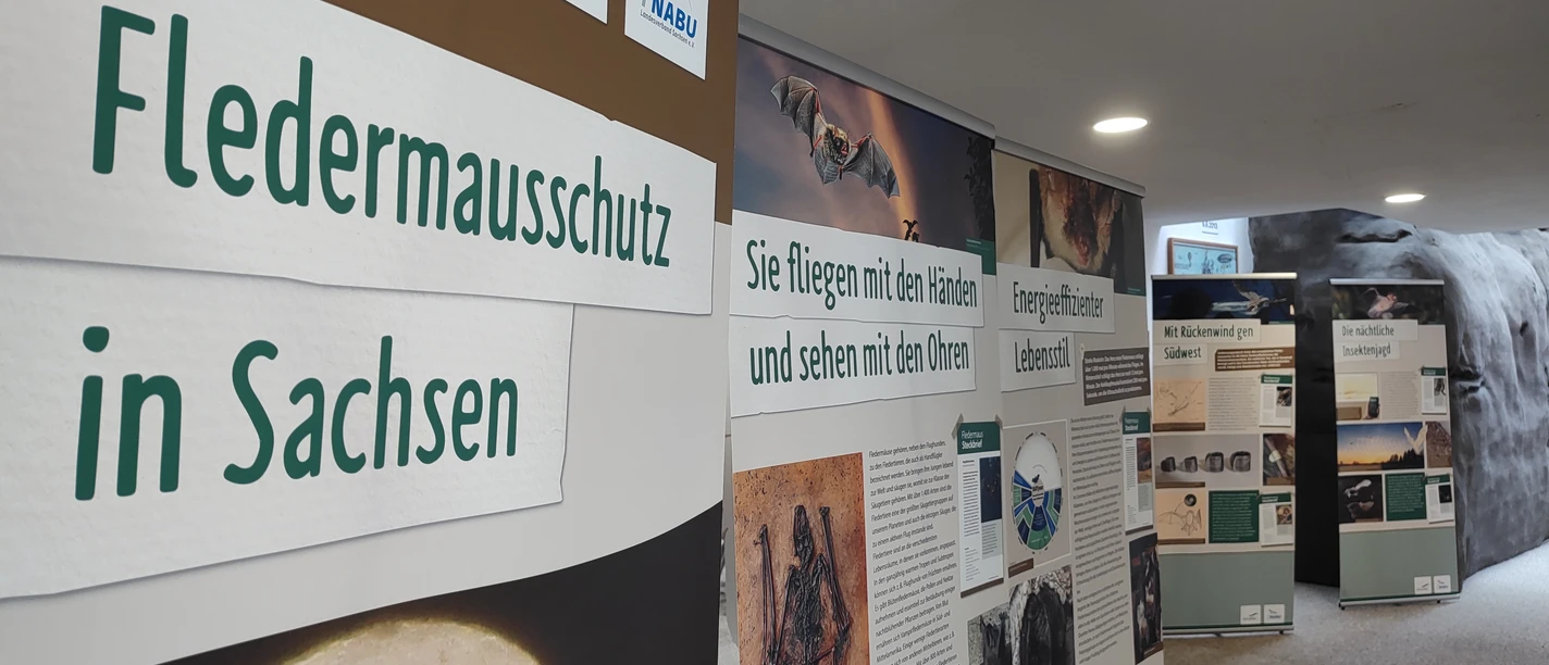 2026 Fledermausschutz_NLPZ (1)