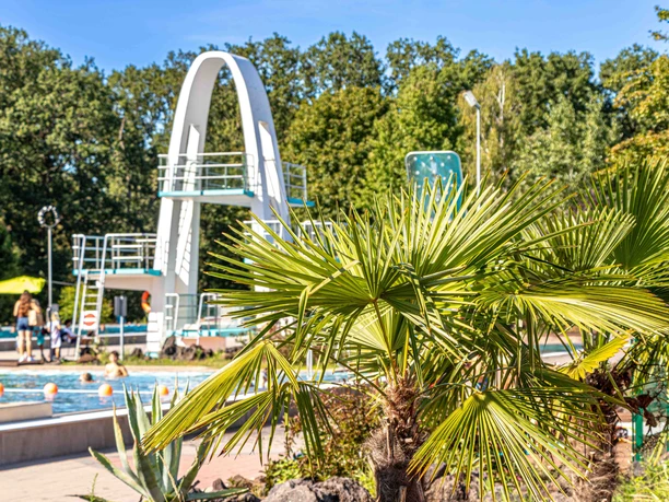 Sprungturm, Palmen und Badebecken im Waldschwimmbad Dietzenbach an sonnigem Tag