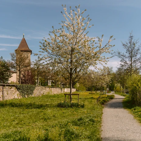 LB-Kleinstadtperle-Sursee-DSC07817.jpg.jpg