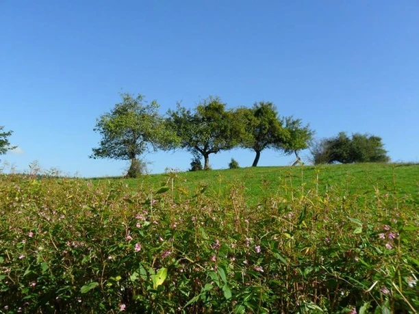 Landschaft am Weg Landschaft am Weg