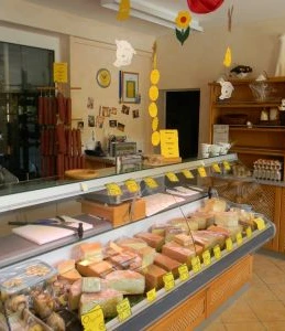 Käsetheke Schaukäserei Menne Verschiedene Käsesorten liegen ansprechend in einer Theke einer Schaukäserei, dekoriert mit Schildern.