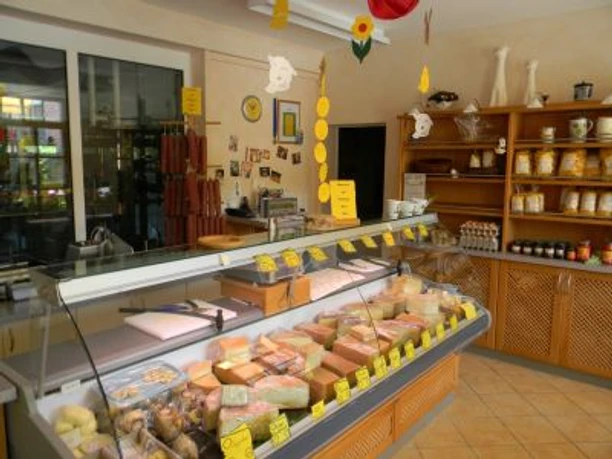 Käsetheke Schaukäserei Menne Verschiedene Käsesorten liegen ansprechend in einer Theke einer Schaukäserei, dekoriert mit Schildern.