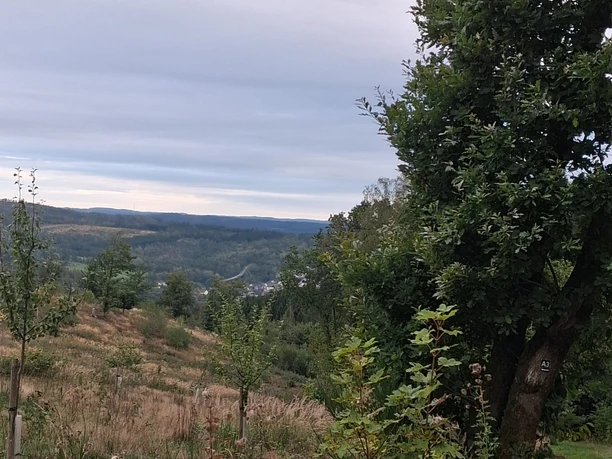 Ausblick