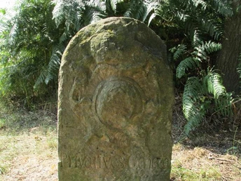 Alter Grenzstein mit verwitterter Inschrift, umgeben von grünen Farnen und Bäumen im Hintergrund.