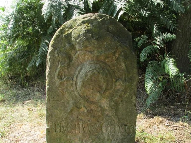 Alter Grenzstein mit verwitterter Inschrift, umgeben von grünen Farnen und Bäumen im Hintergrund.