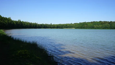 noerdliches-harzvorland-salzgitter-reihersee4-beate-ziehres.jpg