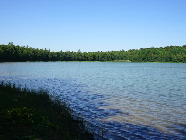 noerdliches-harzvorland-salzgitter-reihersee4-beate-ziehres.jpg noerdliches-harzvorland-salzgitter-reihersee4-beate-ziehres.jpg