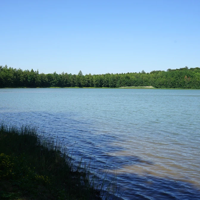 noerdliches-harzvorland-salzgitter-reihersee4-beate-ziehres.jpg noerdliches-harzvorland-salzgitter-reihersee4-beate-ziehres.jpg