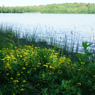 noerdliches-harzvorland-salzgitter-reihersee2-beate-ziehres.jpg noerdliches-harzvorland-salzgitter-reihersee2-beate-ziehres.jpg