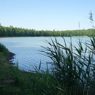 noerdliches-harzvorland-salzgitter-reihersee1-beate-ziehres.jpg noerdliches-harzvorland-salzgitter-reihersee1-beate-ziehres.jpg