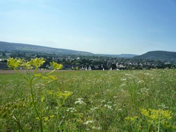 Blick auf das Wesertal mit grünen Wiesen im Vordergrund und einer Stadtlandschaft in der Ferne.