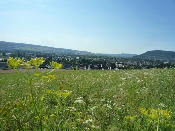 Blick in das Wesertal vom Corveyer Weinberg Blick auf das Wesertal mit grünen Wiesen im Vordergrund und einer Stadtlandschaft in der Ferne.