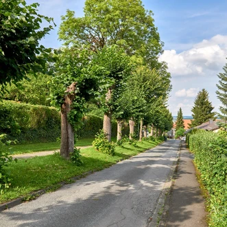 noerdliches-harzvorland-nhavo_4403.jpg noerdliches-harzvorland-nhavo_4403.jpg