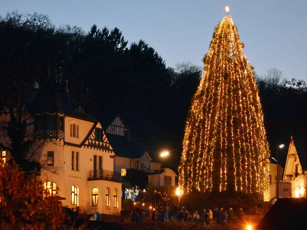 illumination-des-groessten-weihnachtsbaumes-bei-der-villa-bubenzer.jpg