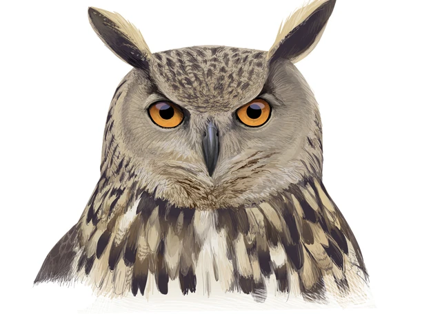 3900e2f6-7acd-4cb5-a0b5-090f4aee1b88.png