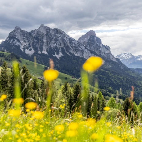 geissaeweg-natur+geissen-9738.jpg