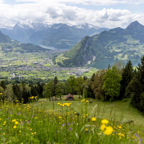 geissaeweg-natur+geissen-9881.jpg
