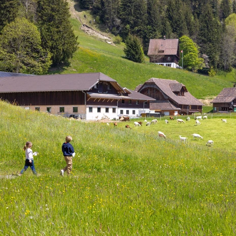 geissaeweg-kinder-0602.jpg