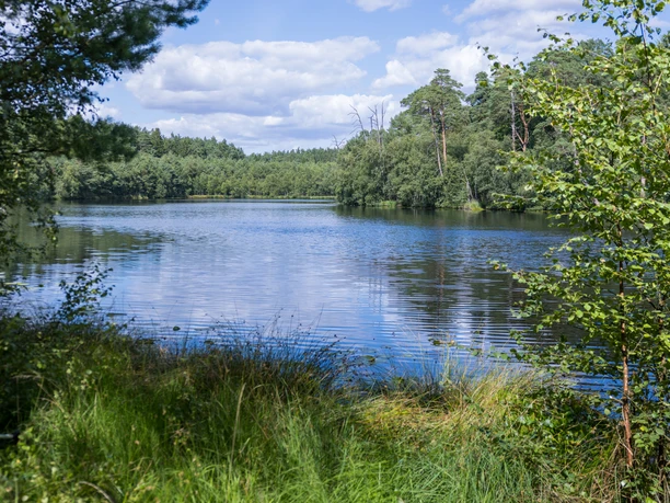Aussicht auf den Schwarzsee im Naturpark Lauenburgische Seen.