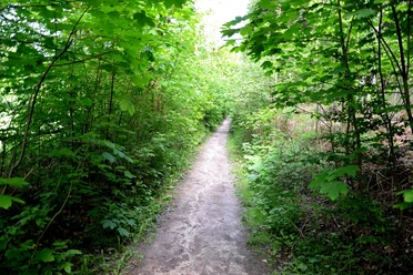 Wegabschnitt