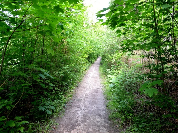 Wegabschnitt