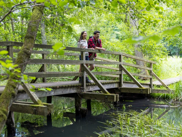 Ein Paar steht im Wald auf einer Brücke im Hellbachtal.