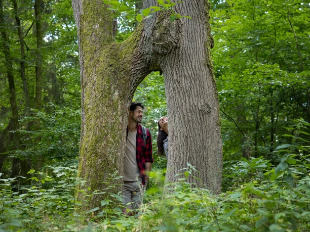 Ein Paar erkundet die Adam-und-Eva-Eichen im Hellbachtal.