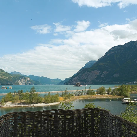 DSC_9215.jpg DSC_9215.jpg