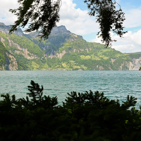 DSC_9349.jpg DSC_9349.jpg