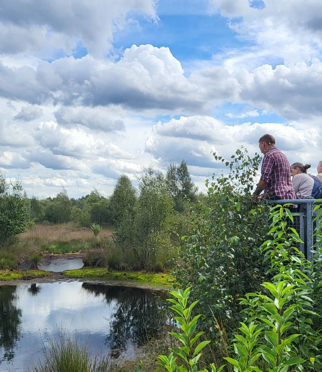 Auf der Aussichtsplattform im Geestmoor.jpg