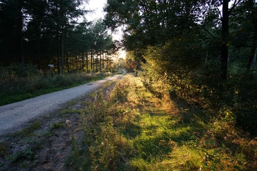 Neuland-Wanderweg