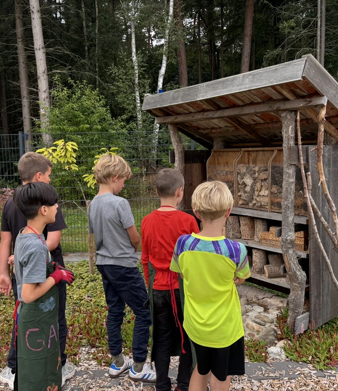 Das Insektenhotel passt perfekt neben den Schulgarten.JPEG