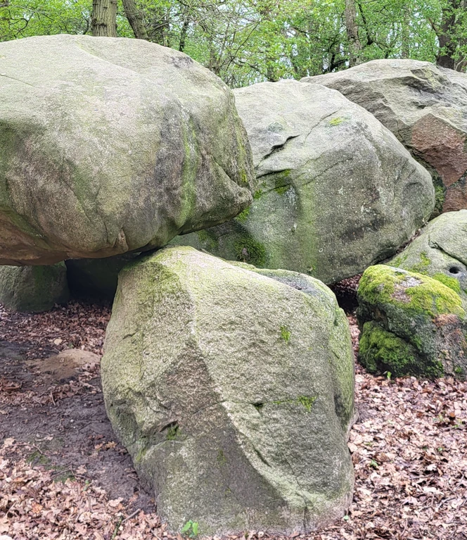 Großsteingrab Auf Bruneforths Esch bei Stavern ©Naturpark Hümmling (2).jpg