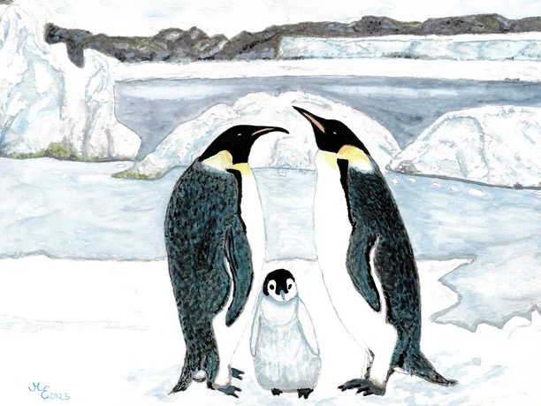 Pinguine_M