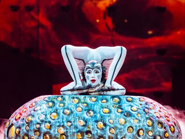 Cirque du Soleil - OVO A contortionist in an insect costume on a blue prop in front of a red stage