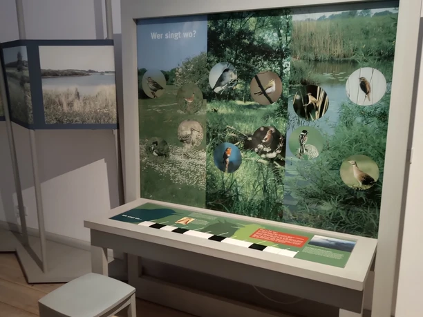 Ausstellung 2.jpg